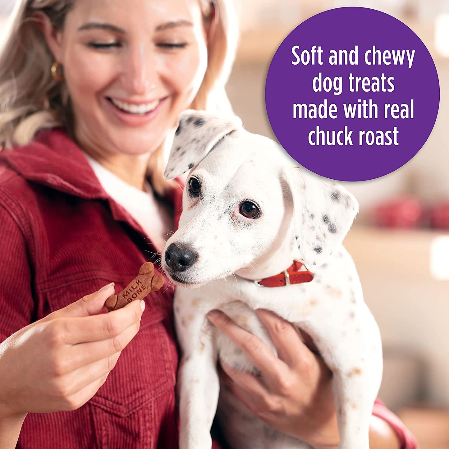 Soft & Chewy Dog Treats, Beef & Filet Mignon Recipe with Chuck Roast, 25 Ounce Container