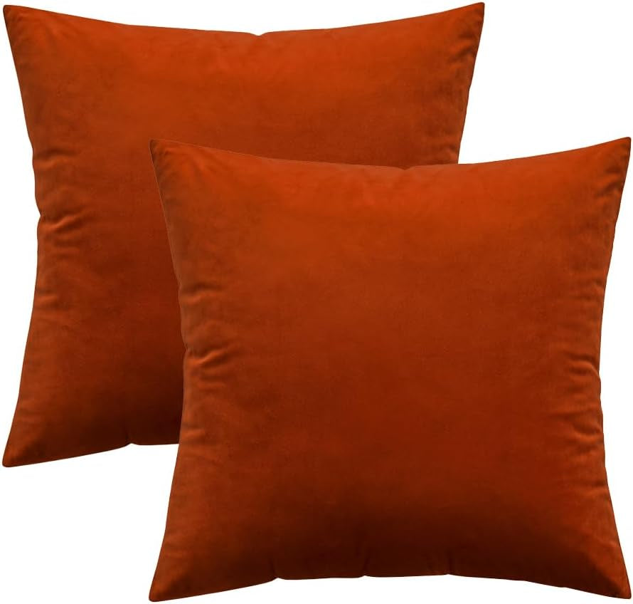 Pack of 2 Burnt Orange Pillow Covers 18X18 Inch Soft Velvet Fall Throw Pillow Covers Set Decorative Couch Throw Pillows Square Cushion Covers Pillowcases for Sofa Bedroom