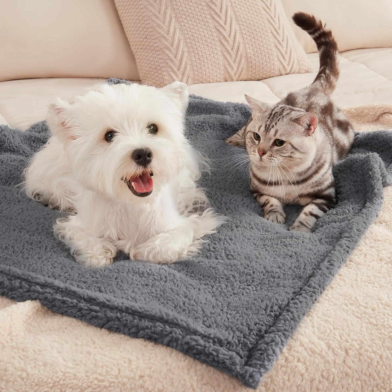 1 Pack 3 Calming Blankets Fluffy Premium Fleece Pet Blanket Soft Sherpa Throw for Dog Puppy Cat Beige Small (23" X16'')