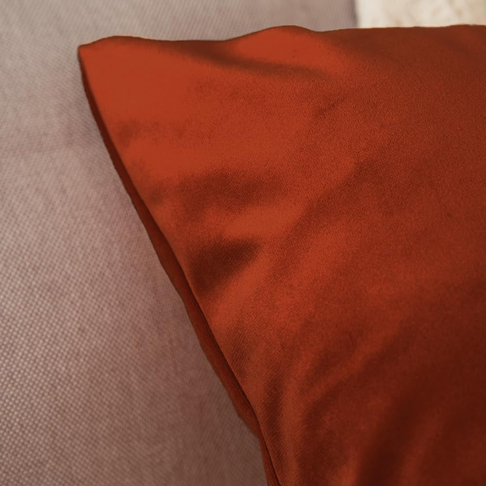 Pack of 2 Burnt Orange Pillow Covers 18X18 Inch Soft Velvet Fall Throw Pillow Covers Set Decorative Couch Throw Pillows Square Cushion Covers Pillowcases for Sofa Bedroom