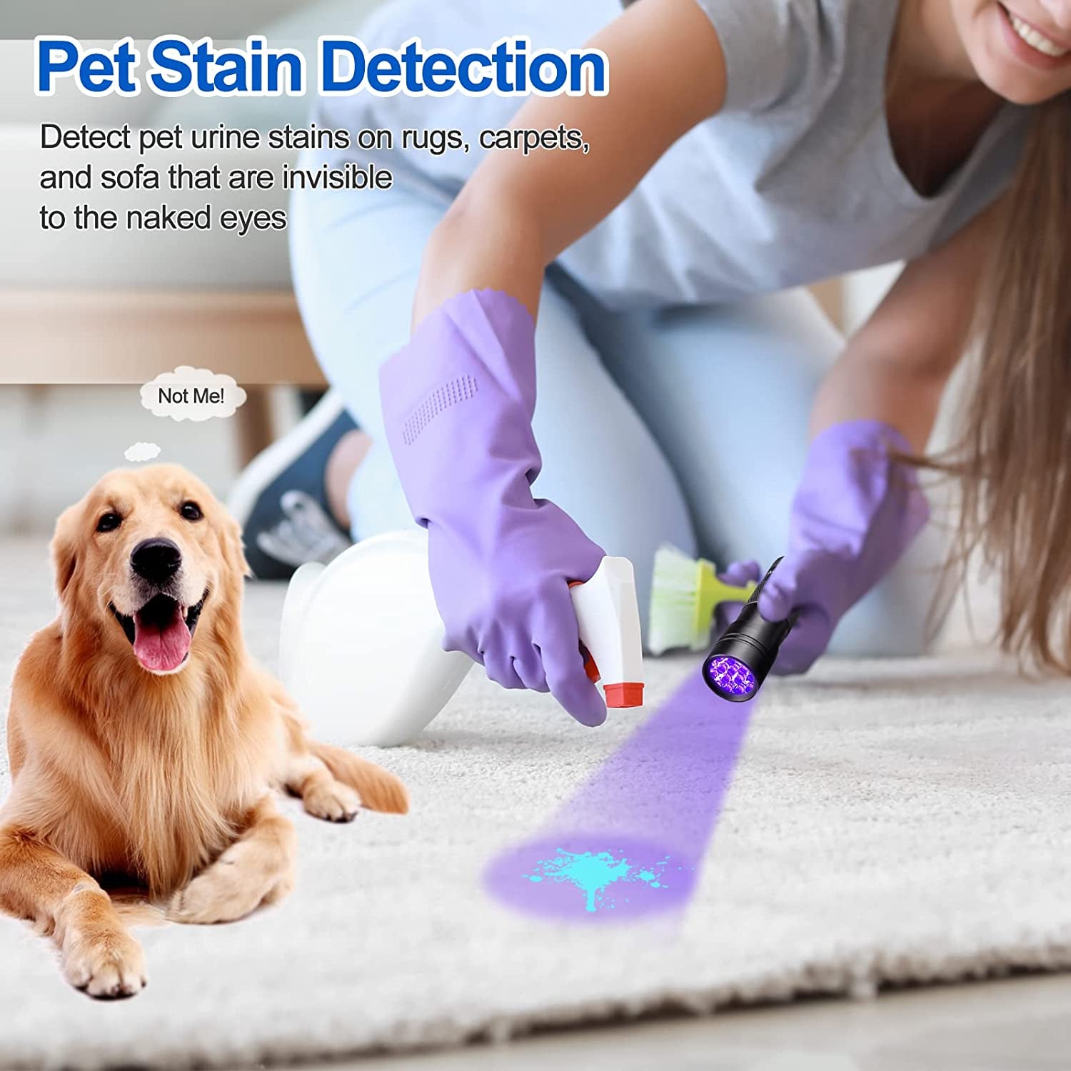 Black Light UV Flashlight Blacklight 12 LED Urine Detector for Dog/Cat/Pet Urine & Dry Stains and Bed Bug on Carpets/Rugs/Floor,Matching with Pet Odor Eliminator