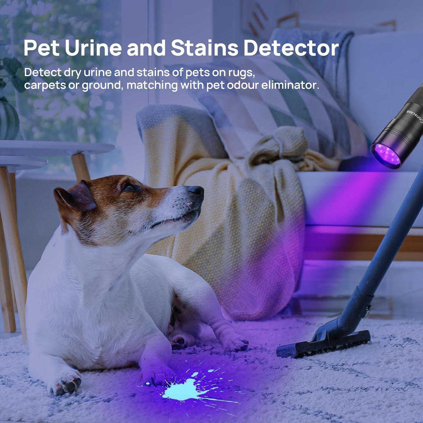 UV Flashlight Black Light,  12 LED 395Nm Ultraviolet Blacklight, Portable Mini Torch Light Pet Urine Detector for Dog/Cat Urine, Dry Stains, Bed Bug, Matching with Pet Odor Eliminator