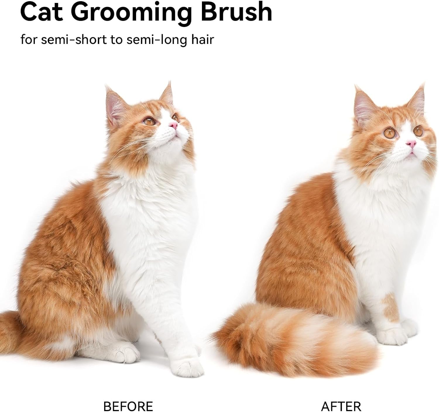 Cat Brush for Shedding, Cat Brushes for Indoor Cats, Cat Brush for Long or Short Haired Cats, Cat Hair Brush Cat Grooming Deshedding Brush for Dog Kitten Rabbit Massage Removes Loose Fur, White