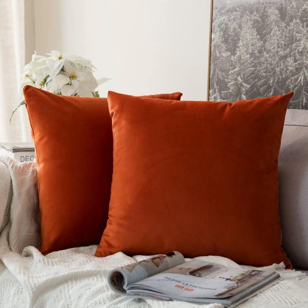 Pack of 2 Burnt Orange Pillow Covers 18X18 Inch Soft Velvet Fall Throw Pillow Covers Set Decorative Couch Throw Pillows Square Cushion Covers Pillowcases for Sofa Bedroom