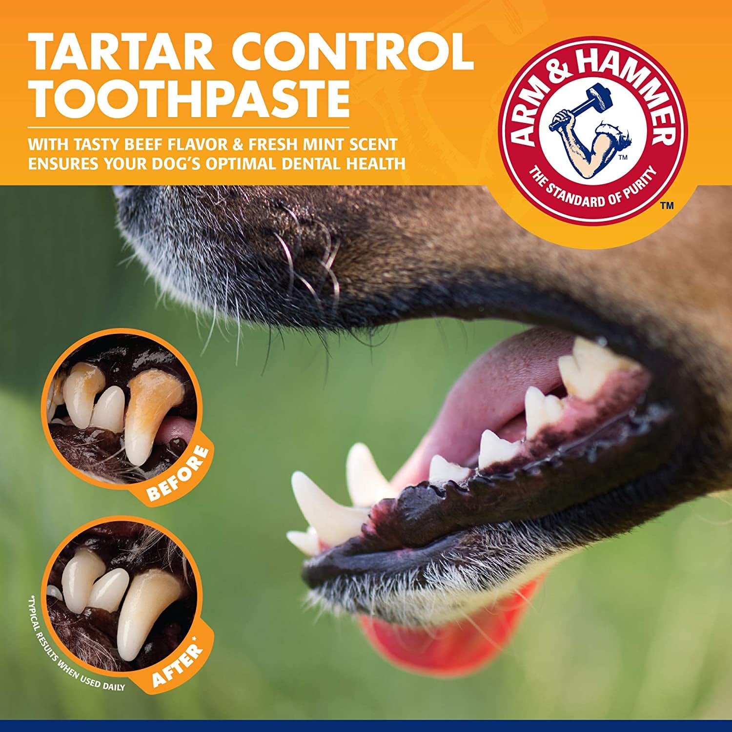 Arm & Hammer for Pets Tartar Control Kit for Dogs | Contains Toothpaste, Toothbrush & Fingerbrush | Reduces Plaque & Tartar Buildup | Safe for Puppies, 3-Piece , Beef Flavor